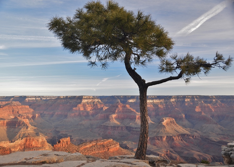 grand canyon south rim